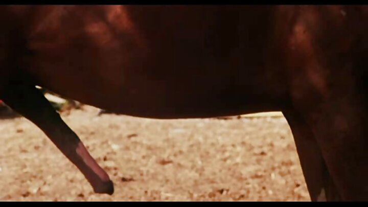 Mke wa kike Nastya Filatova, Tajik Dzhamshut, na mumewe mtoa maoni