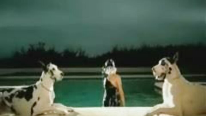 Nililamba mashimo ya Bibi vizuri na nikapata fursa ya kufanya ngono na mbwa