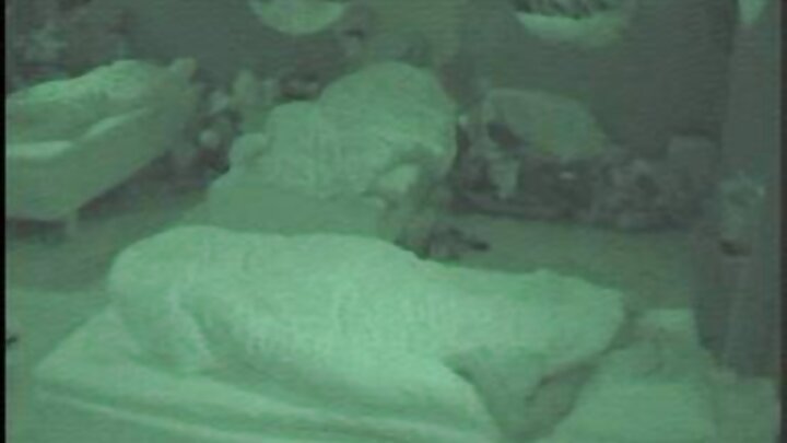 Umati wa wanaume weusi dhidi ya mkundu mchafu wa mtoto mwembamba - mkundu wa kawaida